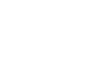 LiaVenic